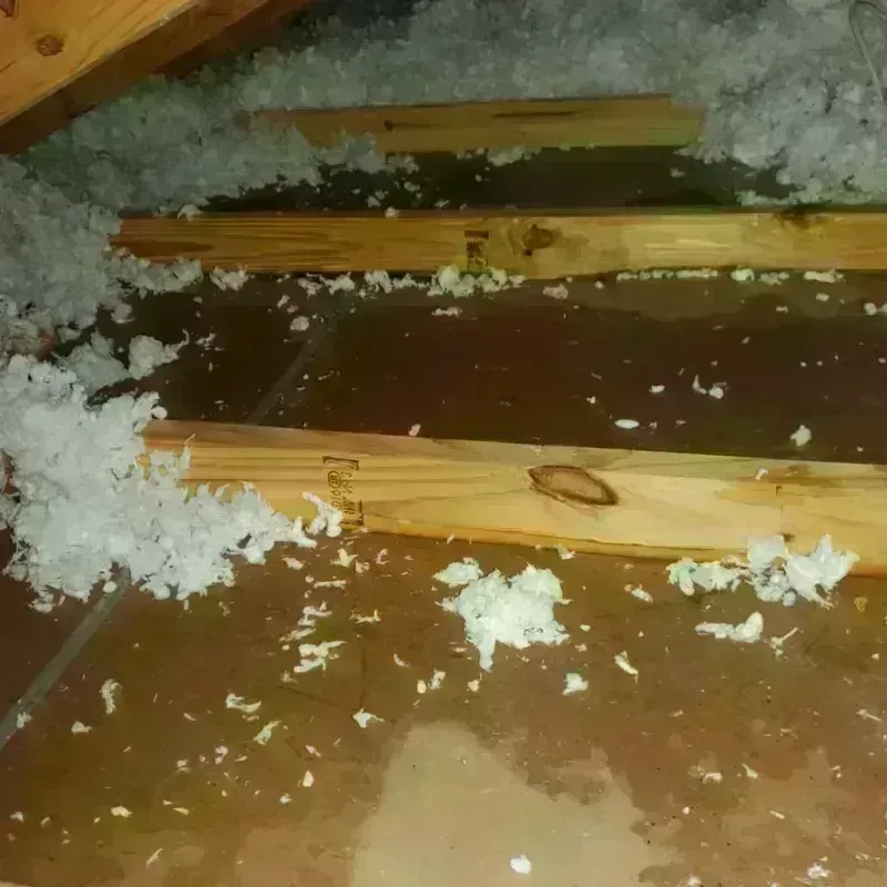 Attic Water Damage in Stallion Springs, CA