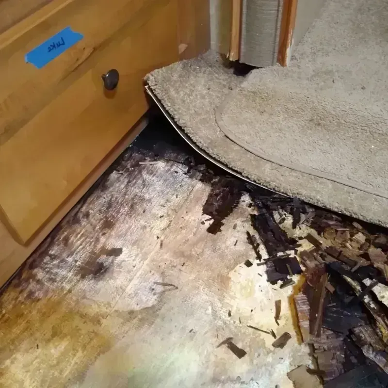 Wood Floor Water Damage in Stallion Springs, CA